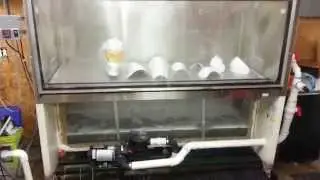 Hydrographic rinse tank build complete