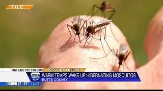 Butte County Mosquito and Vector Control District says warmer weather has awoken mosquito population