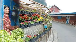 A hill village, Darjeeling, West Bengal, India