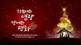 큰 기쁨의 좋은 소식 [누가복음 2:8 - 14]