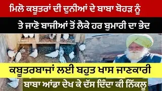 ਮਿਲੋ ਕਬੂਤਰਾਂ ਦੀ ਦੁਨੀਆਂ ਦੇ ਬਾਬਾ ਬੋਹੜ ਨੂੰ,ਤੇ ਜਾਣੋ ਬਾਜੀਆਂ ਤੋਂ ਲੈਕੇ ਹਰ ਬੁਮਾਰੀ ਦਾ ਭੇਦ |Dr Pal | #kabooter