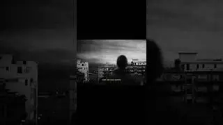 Brut - Alibi