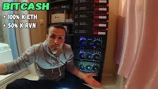 BitCash Какой реальный доход и перспективы