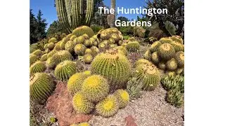 Huntington Desert Garden 2 wav