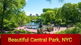 Beautiful Central Park, NYC