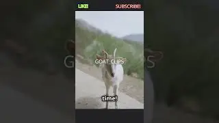 The GOAT's Epic Fail Compilation!