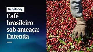 Caf&eacute; sob amea&ccedil;a: produ&ccedil;&atilde;o brasileira est&aacute; &agrave; beira do colapso | InfoMoney News