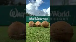Banana Ball is coming to #WaltDisneyWorld in 2026 with the all-new team Loco Beach Coconuts! 🥥⚾️