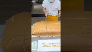 What is 