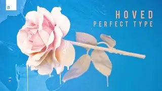 Hoved - Perfect Type [Big & Dirty Records]
