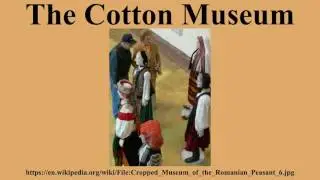 The Cotton Museum
