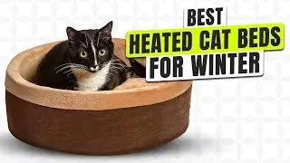 3 BEST Heated Cat Beds for Winter - Don&rsquo;t Let Your Cat Freeze!