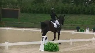 Eeva Colhoun riding Zarita First Level Test 3 Sept 19, 2021
