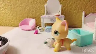 LPS:clean your room!!!|LPS lovely
