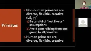 Diverse, Flexible, Creative: Lavenda & Schultz on Primate Life (2021)