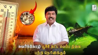 Does Insect Cricket Measures Temperature ? #insects | G Gnanasambandan