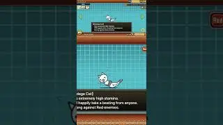 Evolving bondage cat!!!!!