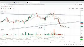 mgl stock big fall on monday