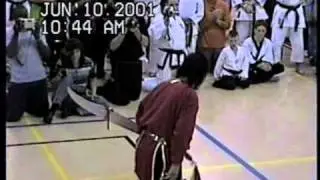 Grandmaster Pan Qing Fu - 2001 Kung Fu Demo