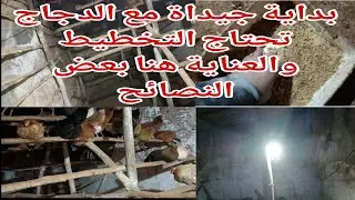 بدايهةجيداةمع الدجاج تحتاج التخطيط والعنايةهنا بعض النصائح اختار السلالة مناسبة الدجاج البياضة او 