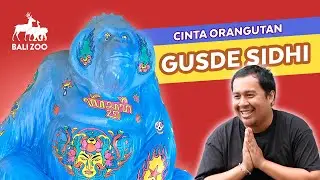 Cinta Orangutan X Gusde