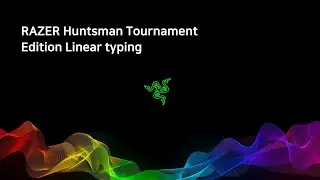 [ASMR] RAZER Huntsman Tournament Edition Linear typing
