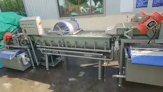 Salad production line，Lettuce cutting, cleaning, dehydration.