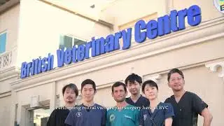 UAE Sets New Standard in Veterinary Care