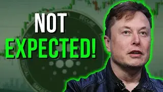 Илон Маск просто ШОКИРОВАЛ ВСЕХ, раскрыв ЭТУ новость о Cardano!