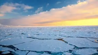Triple Threat to Polar Oceans (Summary Event)