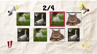 Pato pato gato ganso 😅