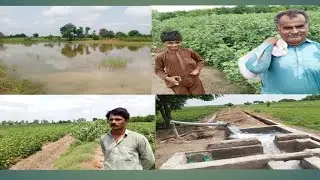 کسان کی فریاد | مہنگائی اور سیلاب کی مار | Saqib Mushtaq Ki Duniya