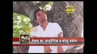 Ayurvedic use Simal Tree  (Semal)
