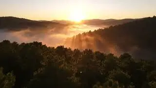 A breathtaking aerial drone shot of a misty pine forest at sunrise.