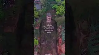 The tallest statue in the world is the Spring Temple Buddha in China, which stands at 502 feet tall