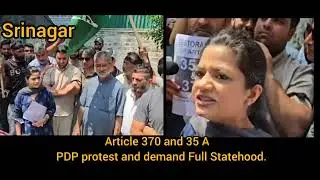 Article 370 and 35 A  , PDP  protest and demand Full Statehood.