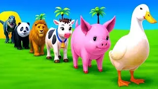 Paint Animals Cow Elephant Hippopotamus Tiger 3dAnimal Game Funny Animals game