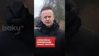 Глава МИД Венгрии Сийарто выступил против принудительной мобилизации на Украине