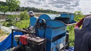 SMART FARMING HACK: EASILY STRIP CORN KERNELS WITH ADVANCED MACHINES   -Agriculture Farming