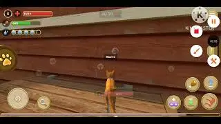 Cat Simulator 2020 All Yarn Balls