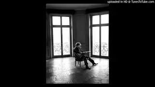 Bob Dylan live,  This Dream Of You,  Chicago 2009