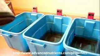Демонстрация pH Advanced Nutrients Perfect.mp4