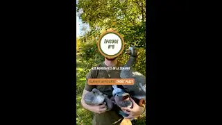 🦆 Nouveaut&eacute;s de la semaine - &Eacute;pisode n&deg;8 ! 🦆 Appelants SportPlast