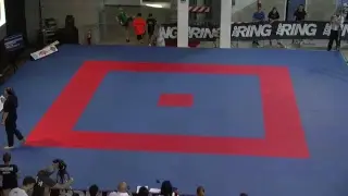 Bestfighter 2017 Forms