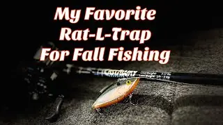 My favorite Rat-L-Trap for fall bass fishing