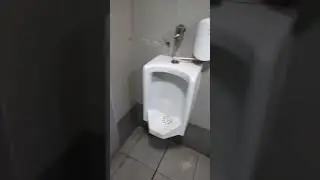 Men's toilet in the market.