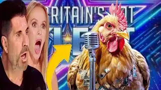 First Chicken To Perform Magic On Talent Show Ever| audition | BGT 2025