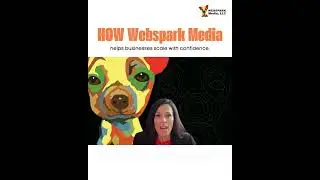 HOW Webspark Media helps businesses scale with confidence.