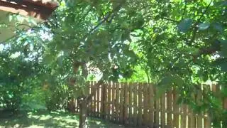 Munne Subdivision, Kendall, 33186, Miami Short Sale Specialist Network,Miami Real Estate