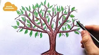 Comment dessiner un arbre sur un mur étape par étape